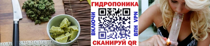 блэк спрут вход Дагестанские Огни Cannafood конопля закладка