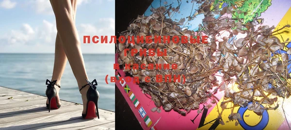 MESCALINE Белокуриха