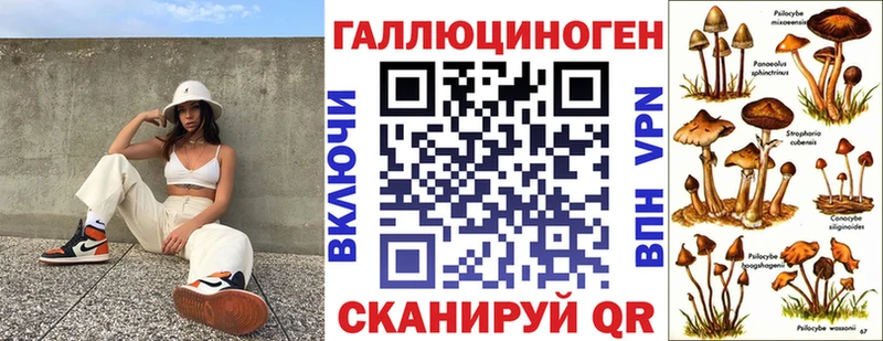 МЕГА сайт  Дагестанские Огни  Псилоцибиновые грибы MAGIC MUSHROOMS 
